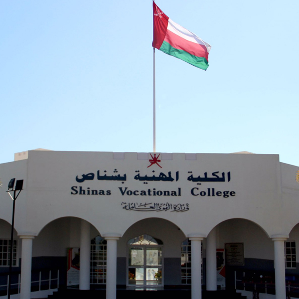 الكلية المهنية